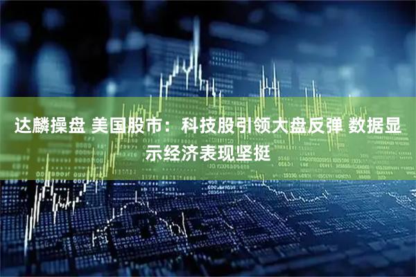 达麟操盘 美国股市：科技股引领大盘反弹 数据显示经济表现坚挺