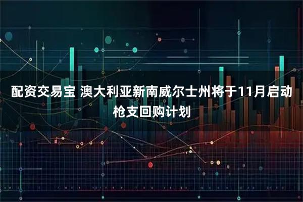 配资交易宝 澳大利亚新南威尔士州将于11月启动枪支回购计划